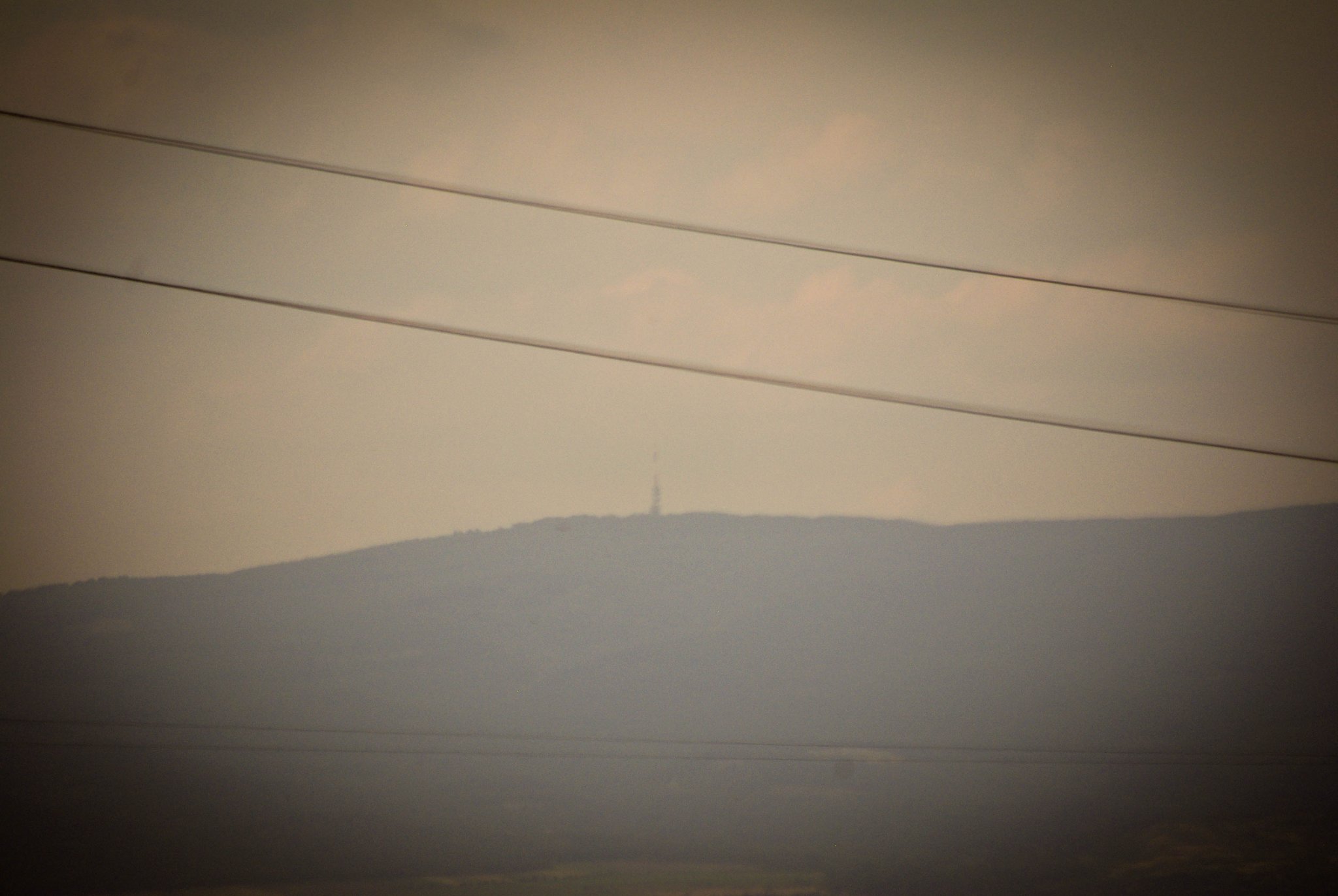 IMGP8440